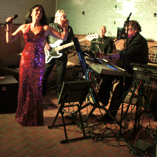 Schloss Drehna Partystimmung im Schloss Drehna