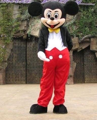 Disney costume