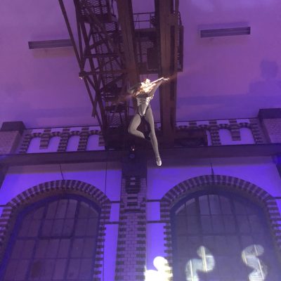 Vertical violin